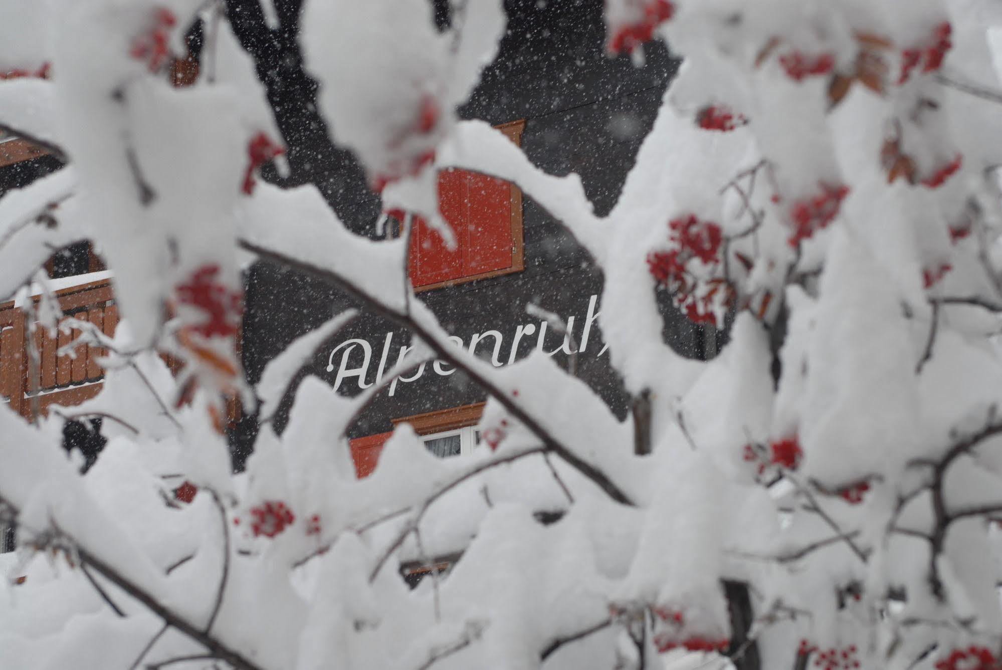 Chalet Alpenruh Saas Fee Exteriör bild